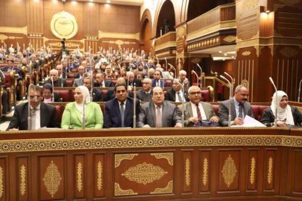 وكيل «الشيوخ»: الطلاب الدارسين في الخارج ثروة قومية لمصر