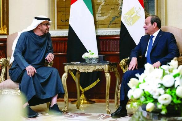 رئيس الدولة والسيسي يبحثان في القاهرة العلاقات الأخوية والمستجدات بالمنطقة