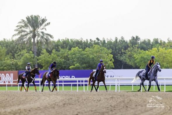 صفوة خيول العالم تؤكد جاهزيتها لكأس دبي العالمي