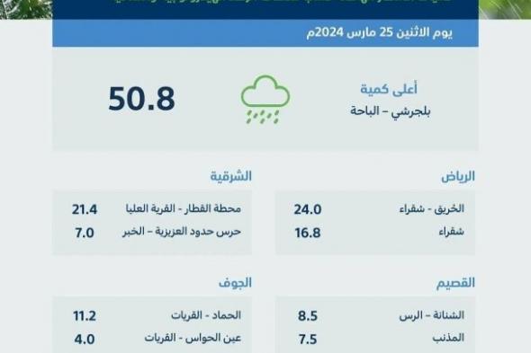 «البيئة»: 10 مناطق تستقبل هطول الأمطار في 69 محطة.. والباحة تتصدر بـ50.8 ملم
