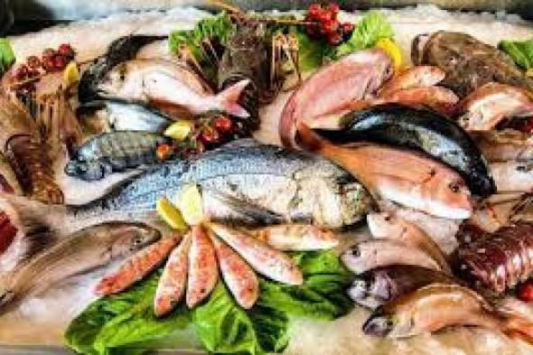 نرصد أسعار الأسماك بسوق العبور اليوماليوم الثلاثاء، 26 مارس 2024 12:08 مـ   منذ 15 دقيقة