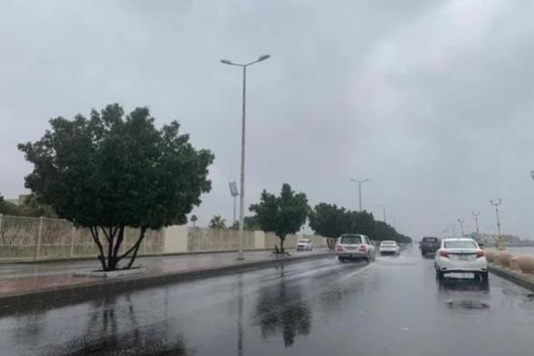 أمطار رعدية وضباب.. المركز الوطني للأرصاد يكشف تفاصيل حالة الطقس اليوم الأربعاء 17 رمضان 1445