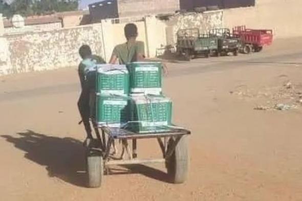 "إغاثي الملك سلمان" يوزع 1.710 سلال غذائية في السودان