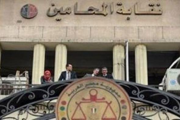 مجلس نقابة محامي شمال القاهرة يقرر تصعيد محمود حمزة نقيبًا للشباب