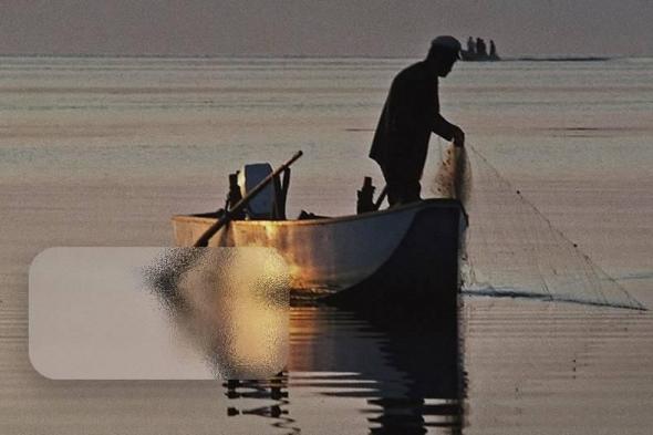 الإمارات تمنع صيد وتسويق أسماك الزريدي والفرش