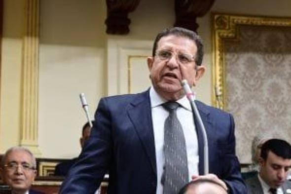 يسرى المغازى: الرئيس عاهد المصريين على فترة رئاسية جديدة من العمل والتحديات