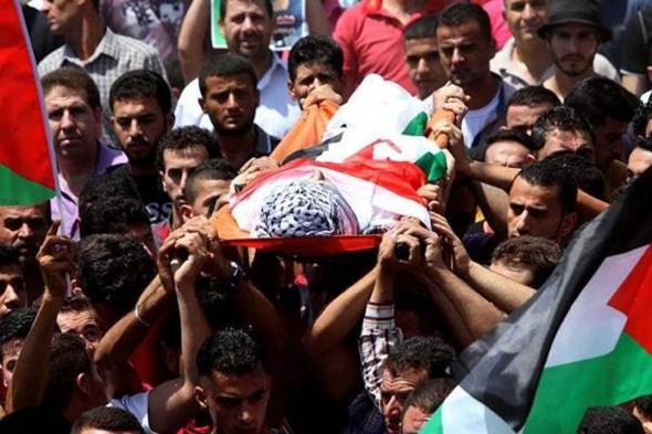 ارتفاع عدد ضحايا العدوان الإسرائيلي على قطاع غزة إلى 33.175 شهيدًا