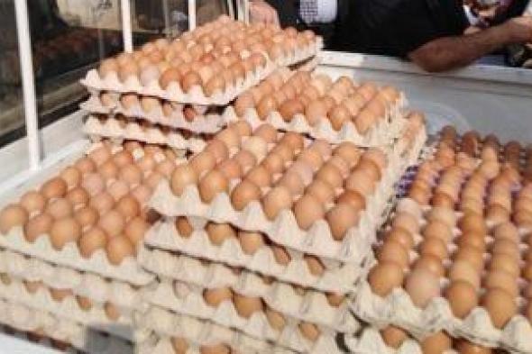 وزارة الزراعة تطرح بيض المائدة للبيع بسعر 140 جنيها للكرتونة