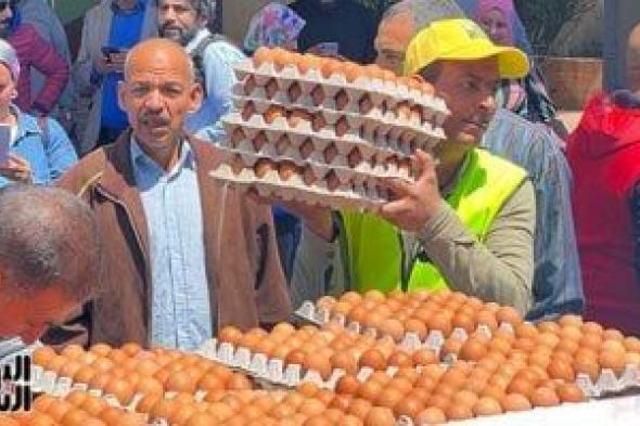 الكرتونة بـــ 140 جنيها.. وزارة الزراعة تطلق منافذ متحركة لبيعع بيض المائدة