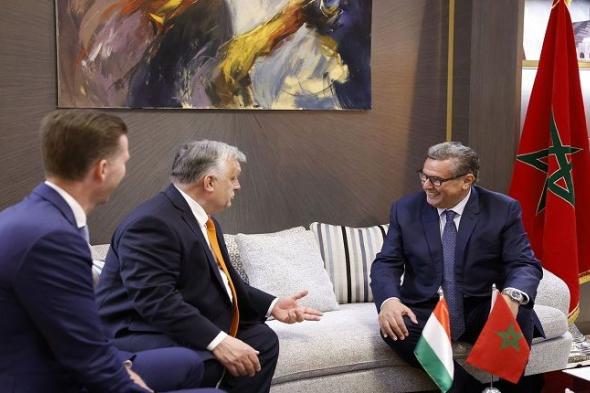 التداول بشأن أهمية تعزيز وتطوير التعاون الاقتصادي بين المغرب و هنغاريا خلال اللقاء الذي جمع أخنوش و أوربان.