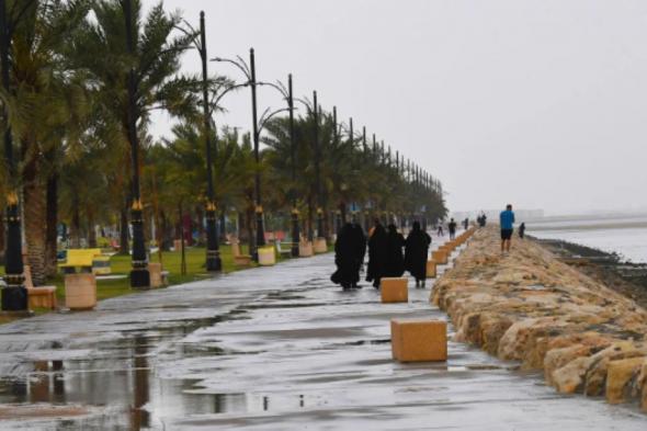 طقس السعودية اليوم.. أمطار ورياح مثيرة للأتربة على أغلب المناطق