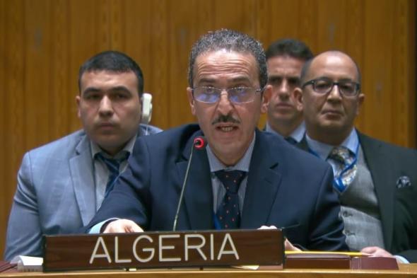الممثل الدائم المساعد للجزائر لدى الأمم المتحدة: لا بد من التعاطي مع السبب الجذري لأزمات الشرق الأوسط ألا وهو الاحتلال الصهيوني