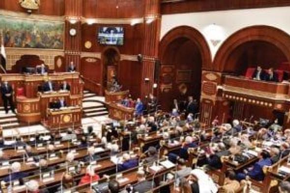 برلمانية حماة الوطن بالشيوخ: التأمين الصحى الشامل إنجاز تاريخى وأمل المصريين
