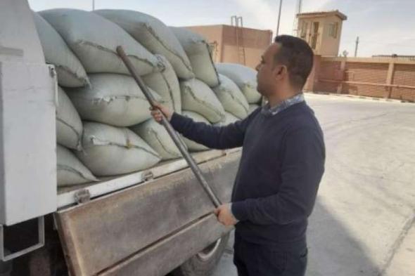 محافظ المنيا يعلن بدء موسم توريد القمح لعام 2024 لـ42 موقعًا تخزينيًااليوم الإثنين، 15 أبريل 2024 12:52 مـ   منذ 34 دقيقة