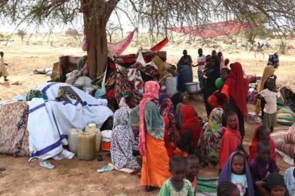 حرب السودان: أكثر من 13 ألف قتيل وانهيار القطاع الصحي في غضون عام