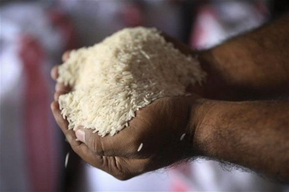 سعر الأرز الشعير اليوم في مصر الإثنين 15 أبريل 2024 .. هبوط كبير بالأسواق يا مدام
