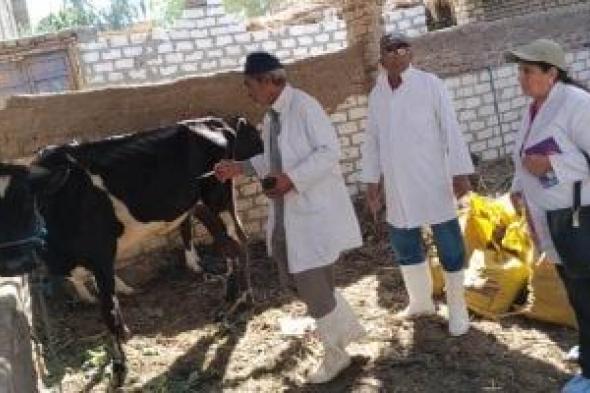 وزارة الزراعة: علاج 9600 رأس ماشية مجانا لـ3509 من صغار المربين بالبحيرة
