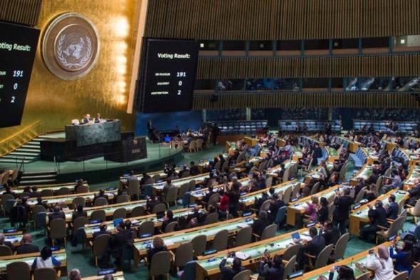 التصويت على مشروع قرار عضوية فلسطين في الامم المتحدة اليوم