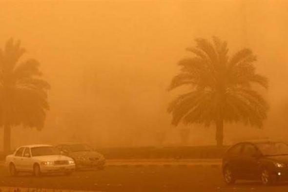 مصر.. الأرصاد الجوية تحذر من الذباب الصحراوي المرافق لرياح الخماسين