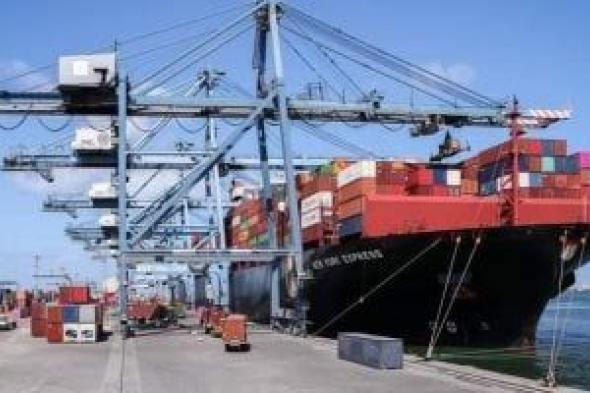 ميناء دمياط يستقبل 34 سفينة متنوعة خلال 24 ساعة
