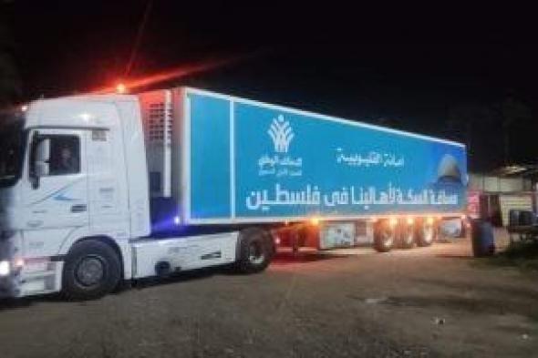 التحالف الوطنى يعلن وصول مساعدات القافلة السادسة للأشقاء فى بغزة.. صور