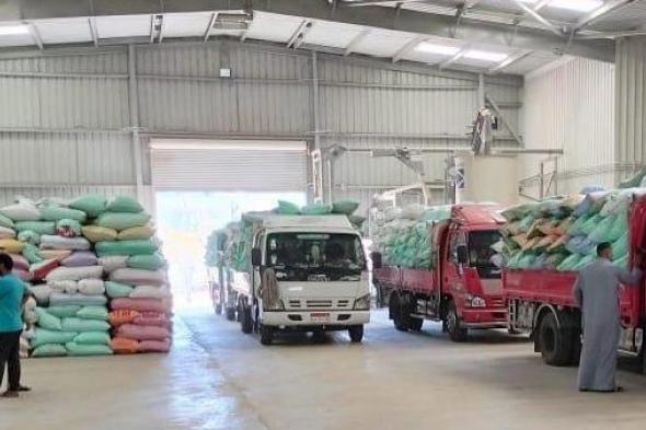 البنك الزراعي يبدأ استلام محصول القمح من المزارعين والموردين في 190 موقع بالجمهورية