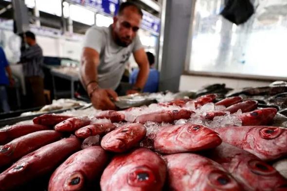 حملة مقاطعة الأسماك "خليه يعفن" تحقق نتائج مذهلة "وخسائر فادحة للتجار"