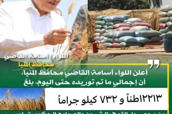 توريد 12213 طناً من محصول القمح بالشون والصوامع الحكومية بمراكز المنيااليوم الثلاثاء، 23 أبريل 2024 02:26 مـ   منذ 3 دقائق