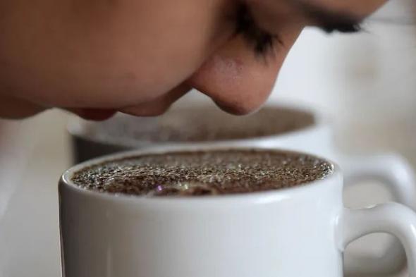 مفاجأة لعشاق القهوة.. نجاح زراعة البُن في مصر "بعد تجارب استمرت 40 عامًا"