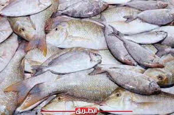 بورسعيد التجارية: أسعار الأسماك انخفضت من 50 إلى 70% بعد المقاطعةاليوم الأربعاء، 24 أبريل 2024 03:35 مـ