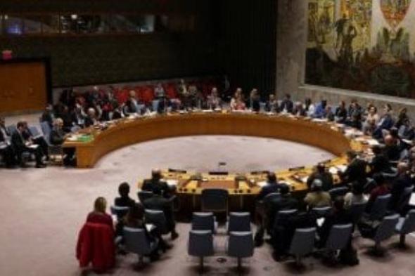 موريتانيا تدعو مجلس الأمن لاتخاذ قرار ملزم بوقف الحرب الإسرائيلية على غزة