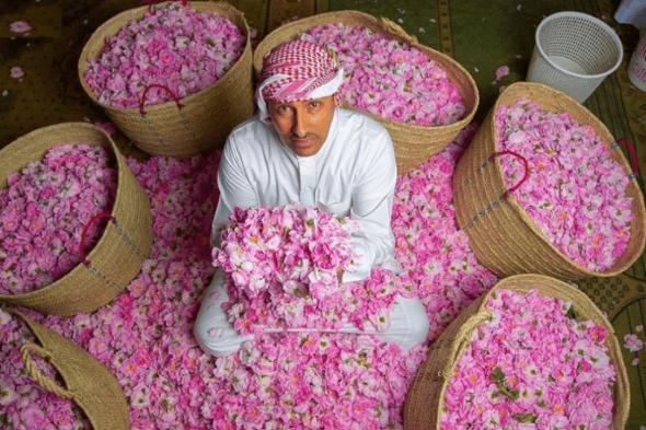 برنامج «ريف السعودية»: 960 مليون وردة حجم إنتاج الورد خلال العام الماضي