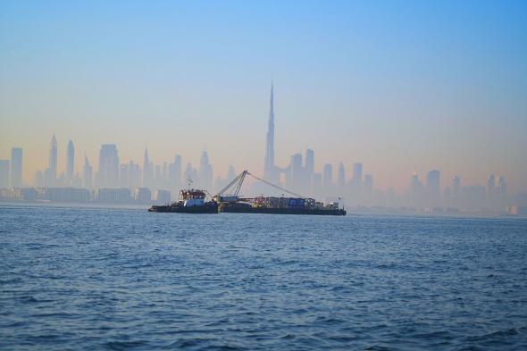 حمدان بن محمد يدشن مشروع "مشد دبي" بإطلاق الدفعة التمهيدية من وحدات الشعاب البحرية