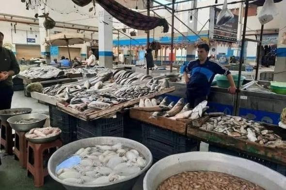 المصريون يقاطعون شراء الأسماك لمواجهة انفلات الأسعار