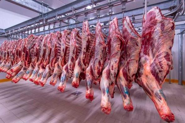 أسعار اللحوم الحمراء فى الاسواق اليوم السبتاليوم السبت، 27 أبريل 2024 11:58 صـ   منذ 25 دقيقة