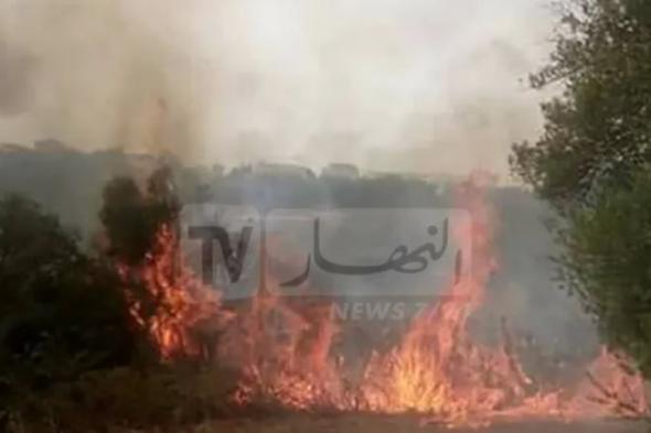 سوق اهراس.. اخماد حريق غابة ببلدية خميسة 