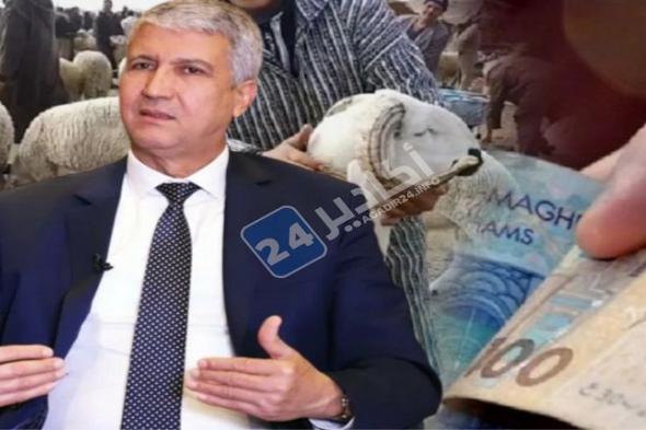 وزير الفلاحة يوضح خطة المغرب لضمان أضاحي عيد الأضحى بأسعار معقولة