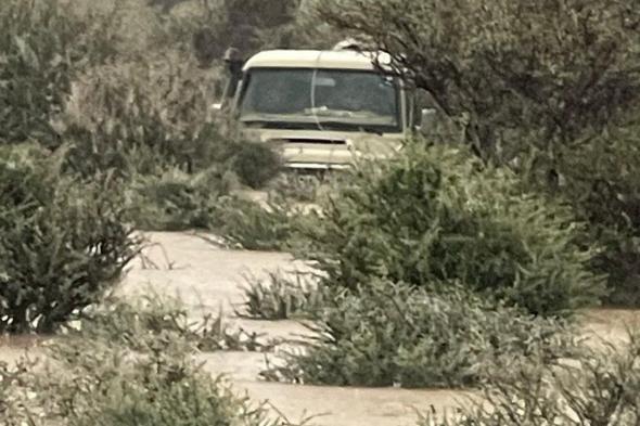 علِقت و"برق التطوعي" يتدخل.. إنقاذ 3 سيارات وقائديها من احتجاز سيول بالطائف