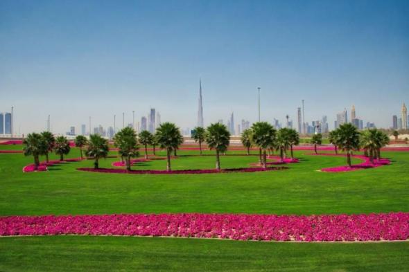 دبي.. إعادة افتتاح الشواطىء والحدائق العامة بعد الحالة المطرية