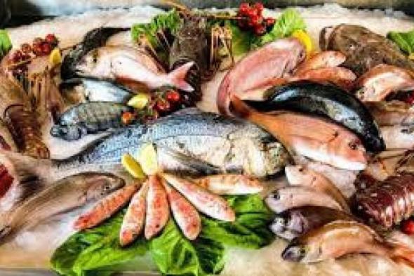 نرصد اسعار الأسماك بسوق العبور اليوماليوم الخميس، 2 مايو 2024 09:44 صـ   منذ 43 دقيقة