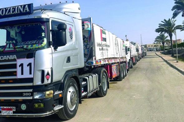 دخول 12 شاحنة مساعدات إماراتية إلى غزة