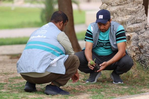 ضمن مبادرة"السعودية الخضراء".. أمانة الأحساء تستهدف زراعة 800 ألف شجرة
