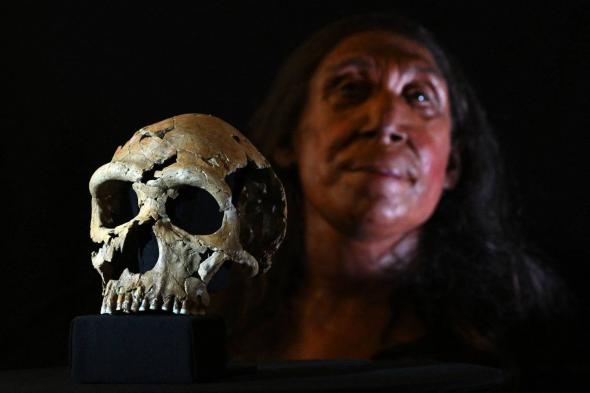 دُفنت في دولة عربية قبل 75 ألف سنة.. علماء يكشفون شكل امرأة النياندرتال
