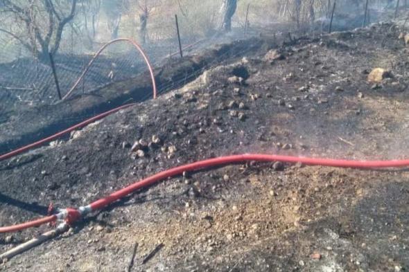 المسيلة: حريق يلتهم هكتارًا من بستان بقرية الانشاش بالمعاضيد