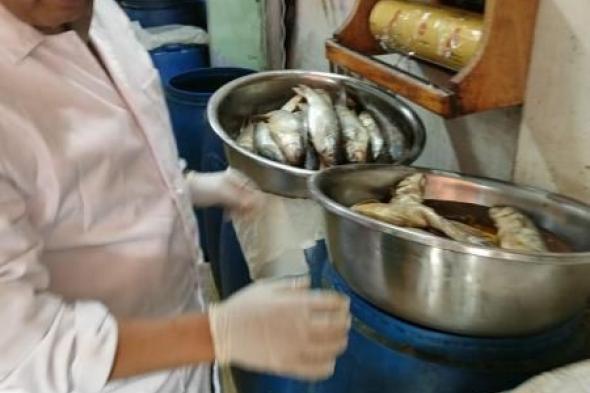 محافظ الغربية رقابة مشددة على الأسواق ومحلات بيع الأسماك المملحة في...اليوم الإثنين، 6 مايو 2024 01:13 مـ   منذ 17 دقيقة