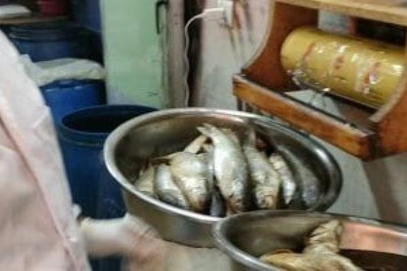 رقابة مشددة على الأسواق ومحلات بيع الأسماك المملحة فى شم النسيم بالغربية