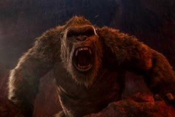 فيلم Godzilla x Kong يقترب من 8 ملايين جنيه في شباك التذاكر المصرى