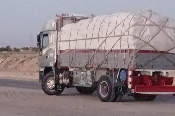 تموين المنيا يضبط سيارة محملة بـ 24 طنا من محصول القمح قبل...اليوم الثلاثاء، 7 مايو 2024 12:55 مـ   منذ 35 دقيقة