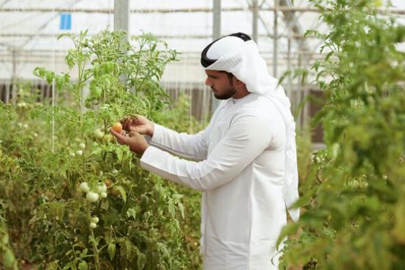 لتعزيز منظومة الأمن الغذائي.. قرار جديد يستهدف تحسين دخل "صغار المزارعين" في أبوظبي