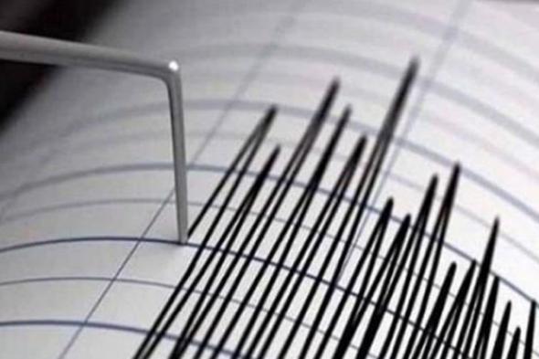 زلزال بقوة 4.6 درجات يضرب إندونيسيا